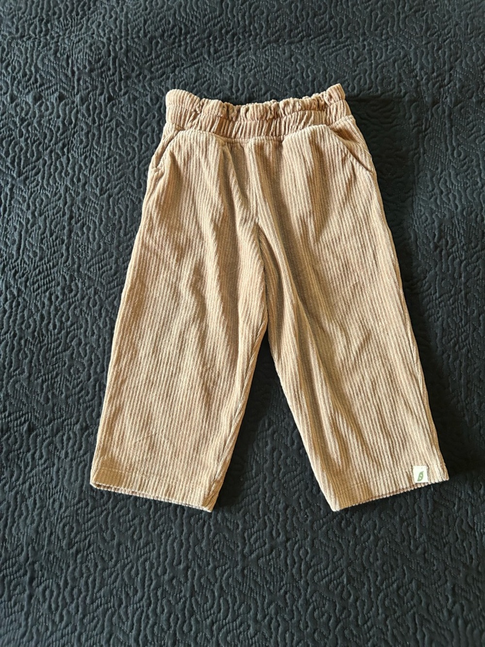 2T Organic Cotton Blend Corduroy Pull-On Pants in Tan